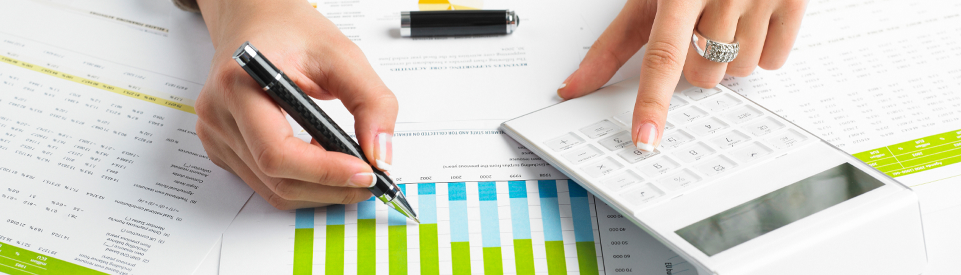 ProTax Services Inc.